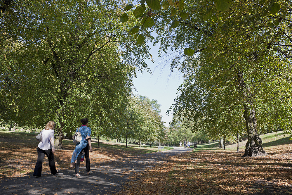 Image representing FHP Living