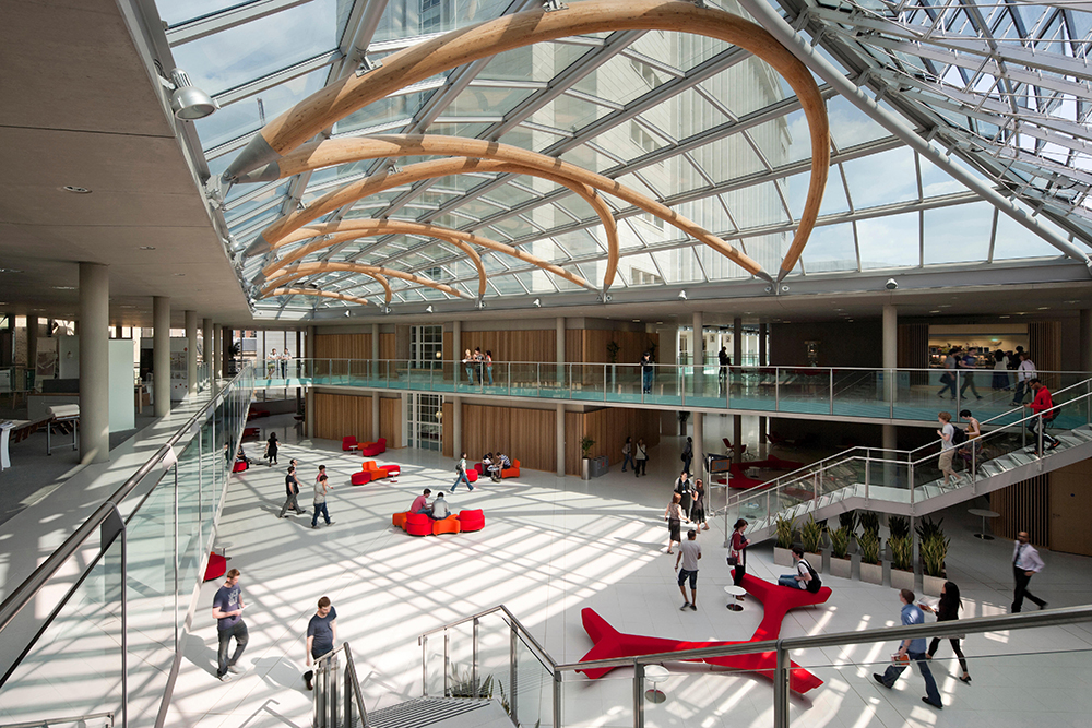 Image representing FHP Living