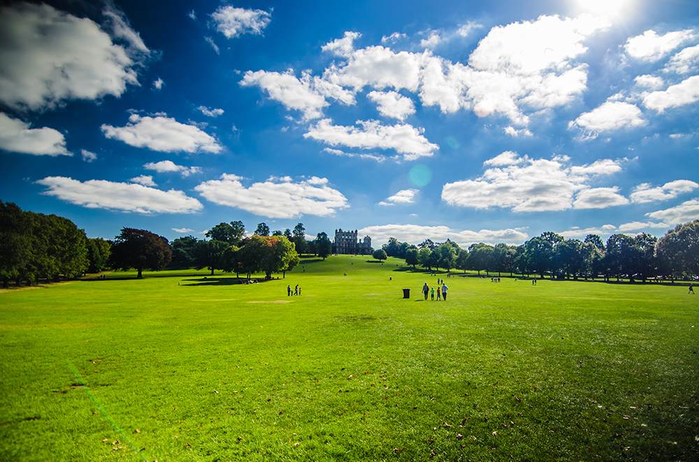 Image representing FHP Living