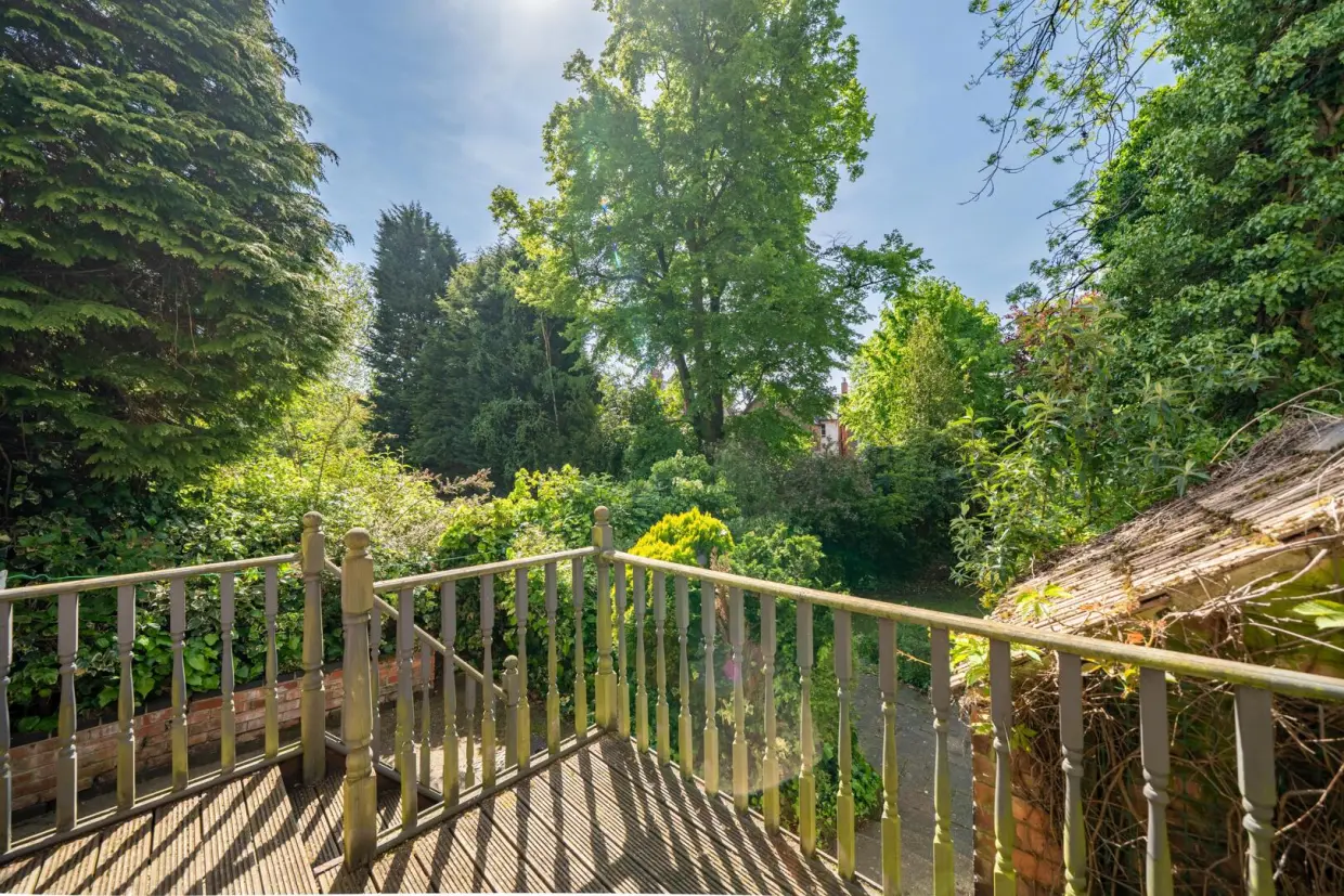 Terrace / Patio