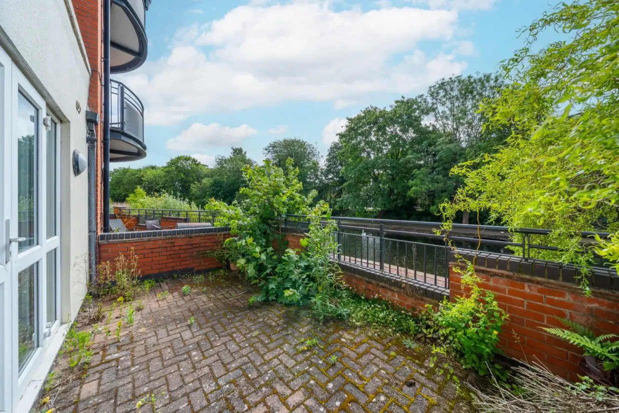 Terrace / Patio