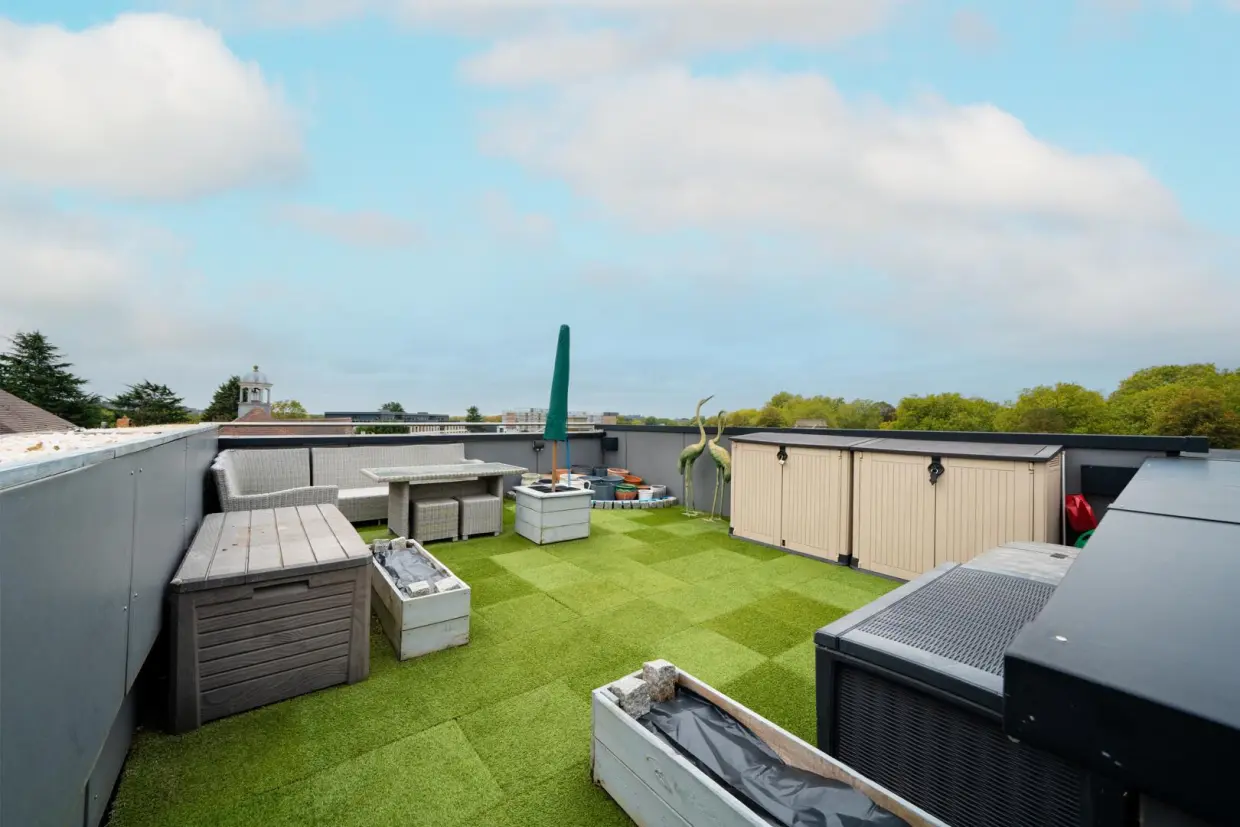 Terrace / Patio